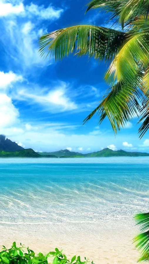Tropical Iphone