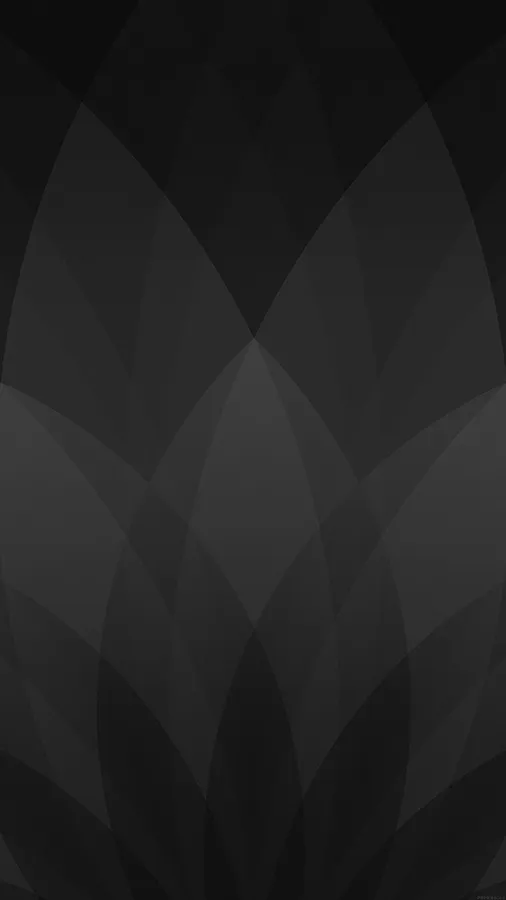 Fanned Leaf Solid Black Iphone
