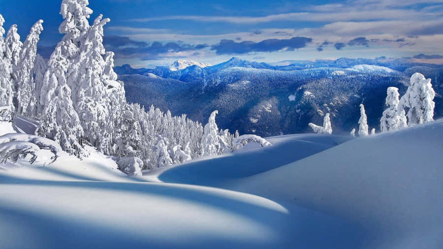 Umabela paisagem de inverno com neve intocada.