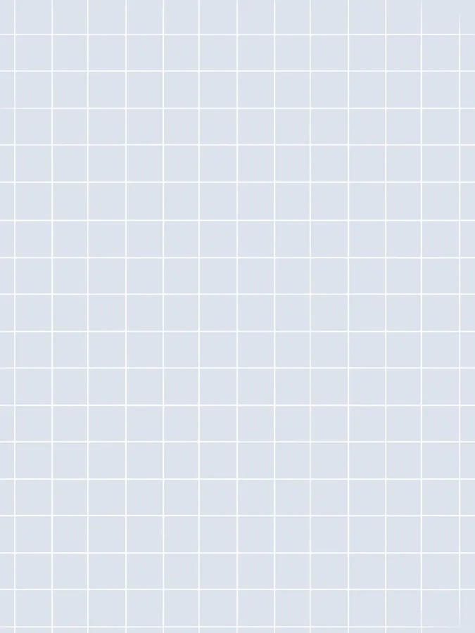 White Grid Aesthetic