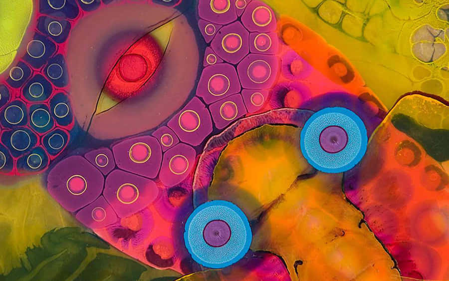 artepsicodélica, papel de parede em 1920 x 1200