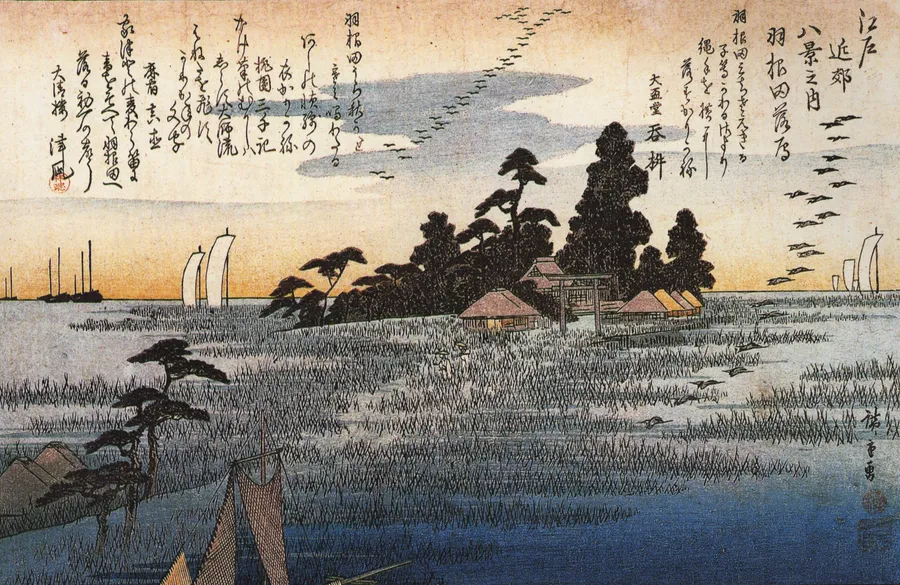 Among Trees