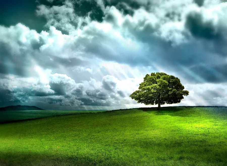 Windows Default Background