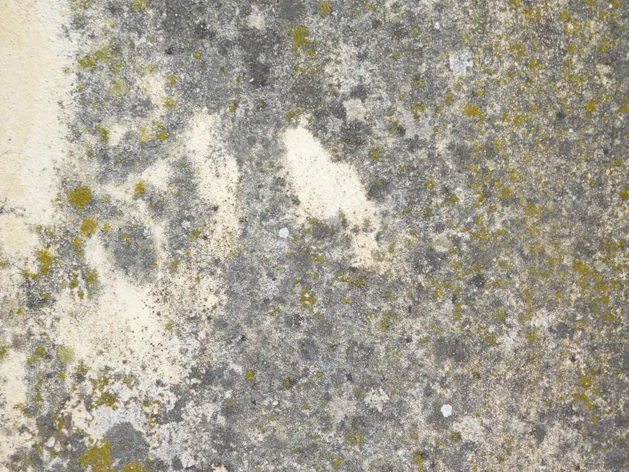 stone,texture,design,rock,background,closeup,natural,nature,rough,luxury,material,abstract,black,wallpaper,architecture,floor,dark,interior,pattern,blank