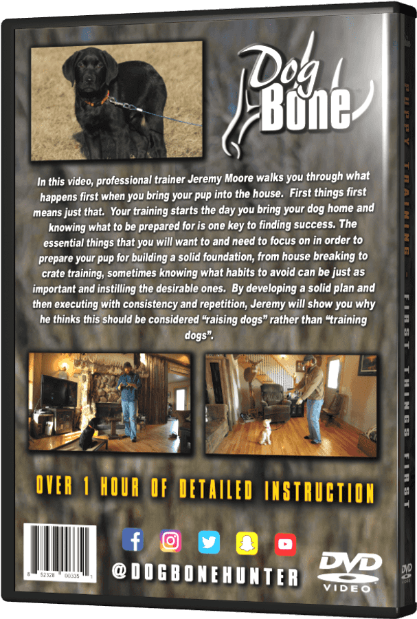 Dog Bone D V D Cover