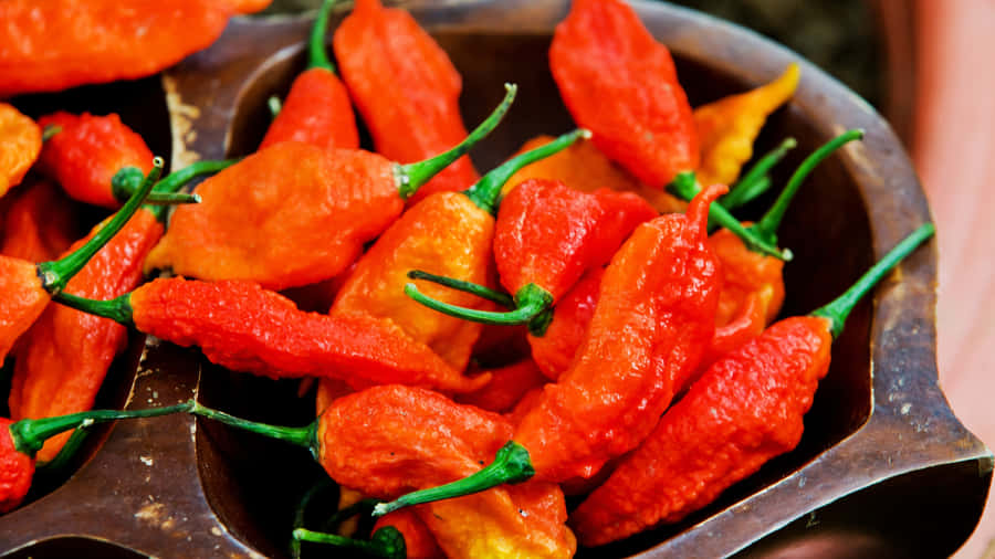 Dieschärfste Chili-Schote der Welt - Geisterpfeffer