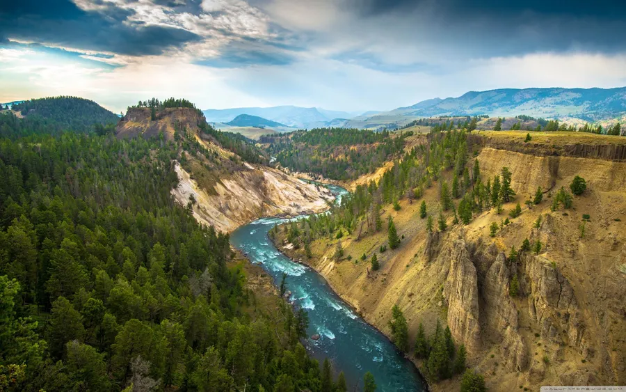 Yellowstone