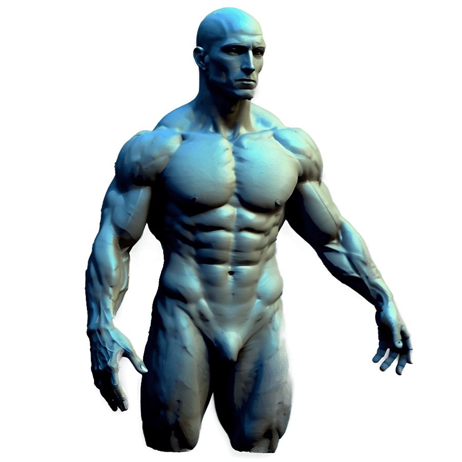 Male Torso Sketch PNG 30