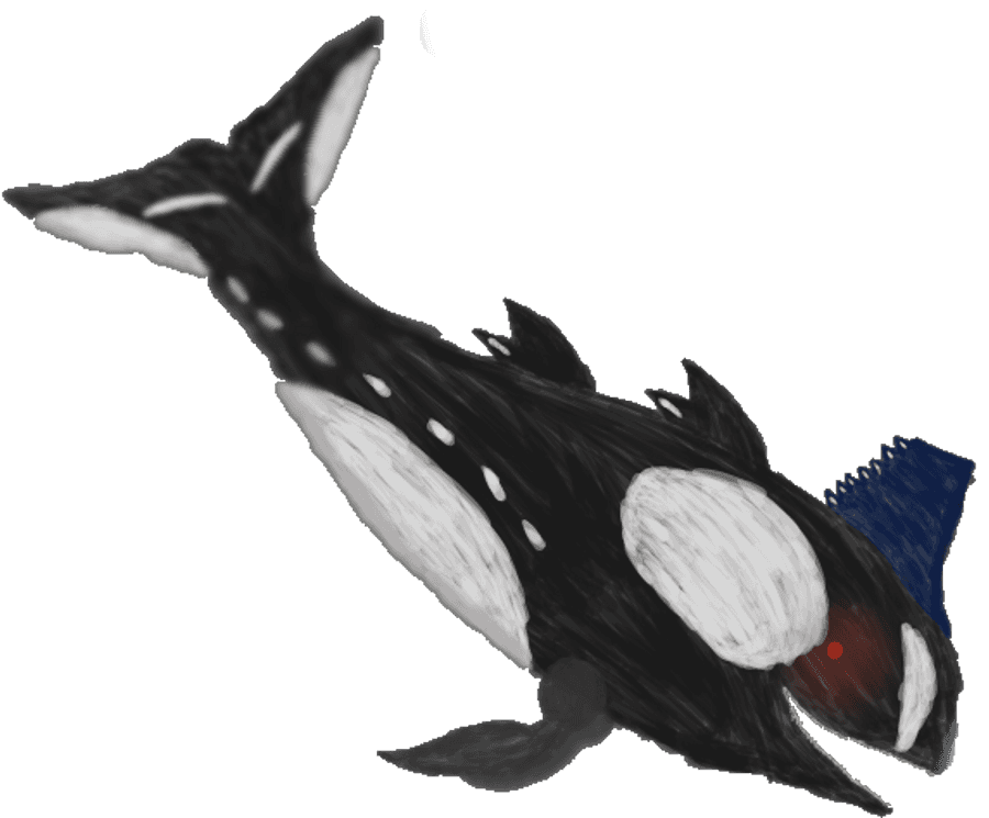 Stylized Orca Drawing