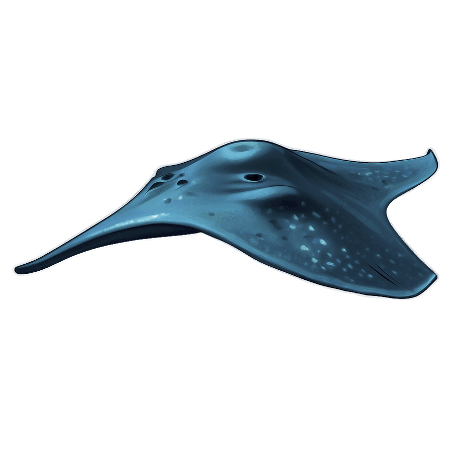 Stingray Illustration PNG scw
