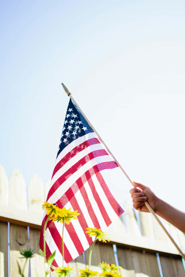 Bandeira Americana Sob um Céu Iluminado pelo Sol