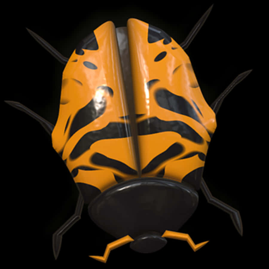 Orange Black Ladybug Illustration
