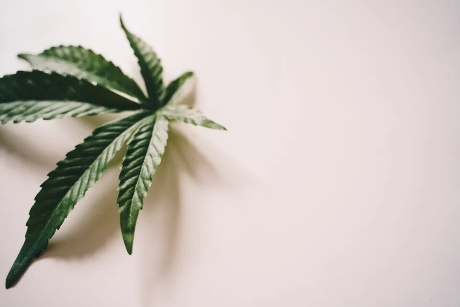 Simple Marijuana Leaf On Table