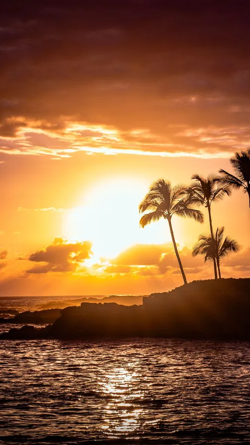 Android Summer Background