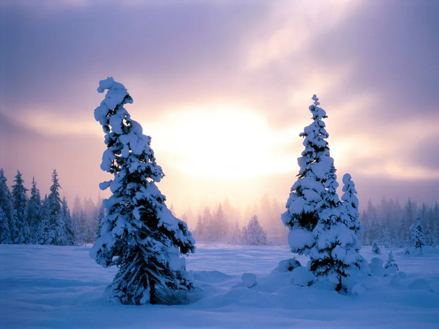 Best Winter background