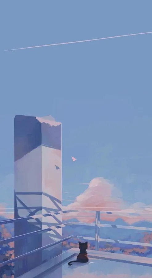 Live Aesthetic
