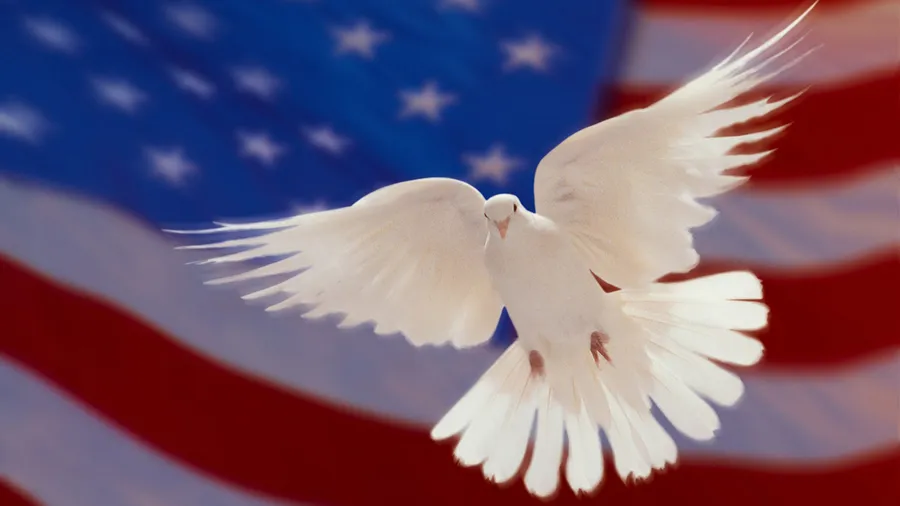 American Flag HD With Dove