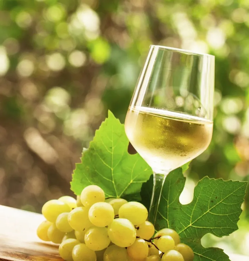Grape pictures