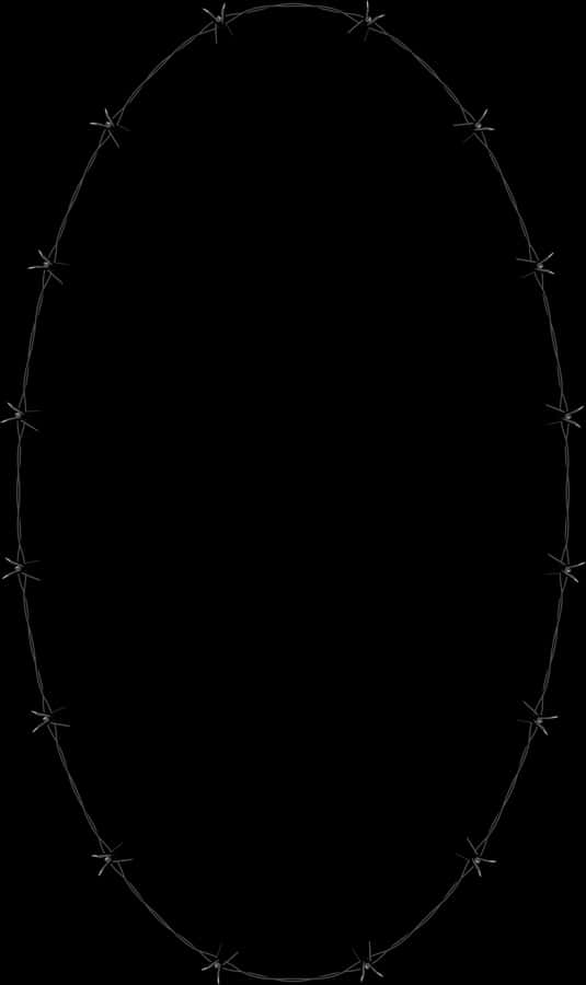 Barbed Wire Oval Frame