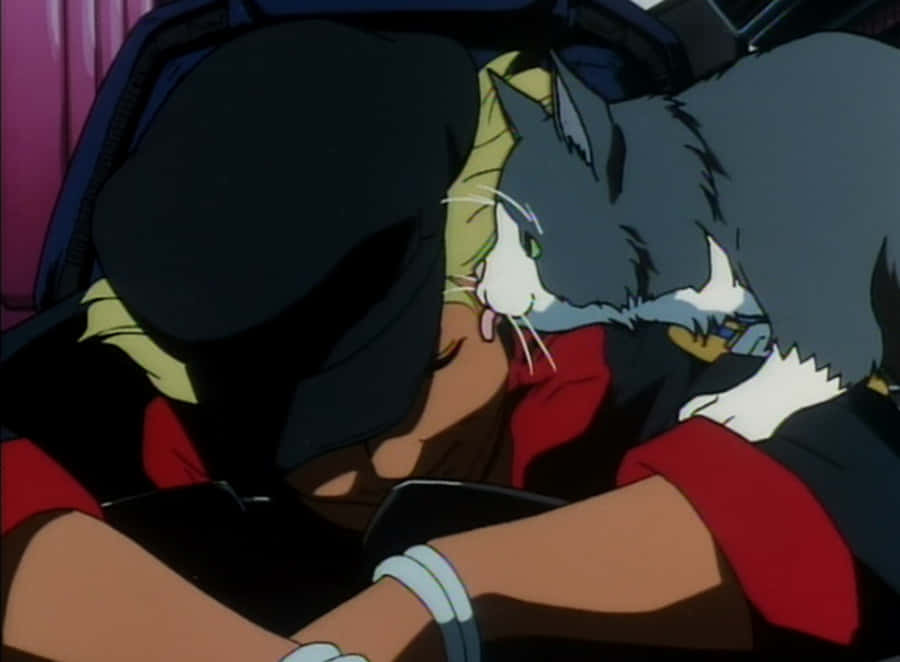CowboyBebop Vt 1223 x 900 tapet