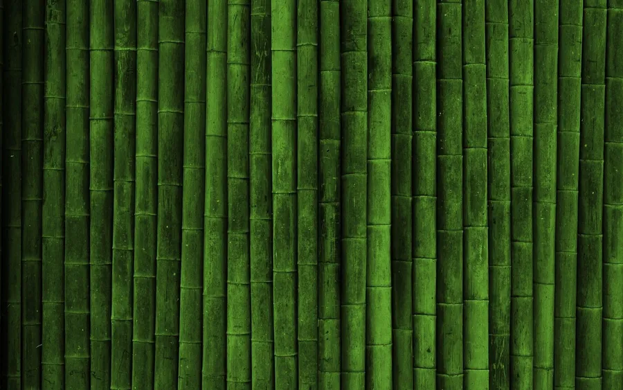 Green Bamboo