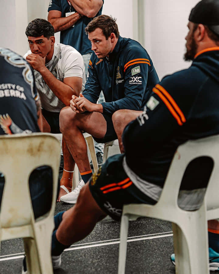 Brumbies1440 x 1800 baggrundsbillede.