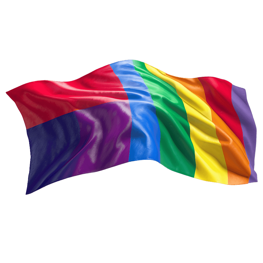 Pride Diversity Flag PNG xfr
