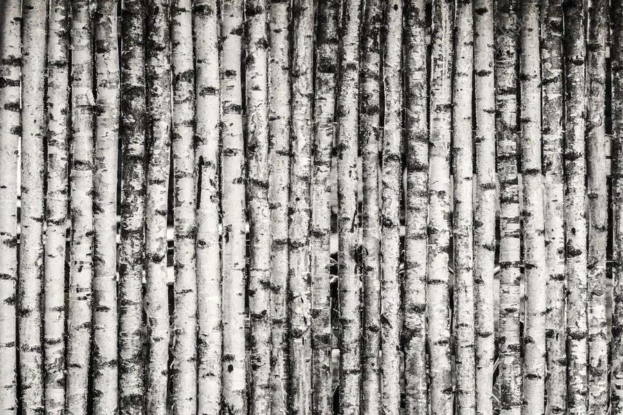 fence Background