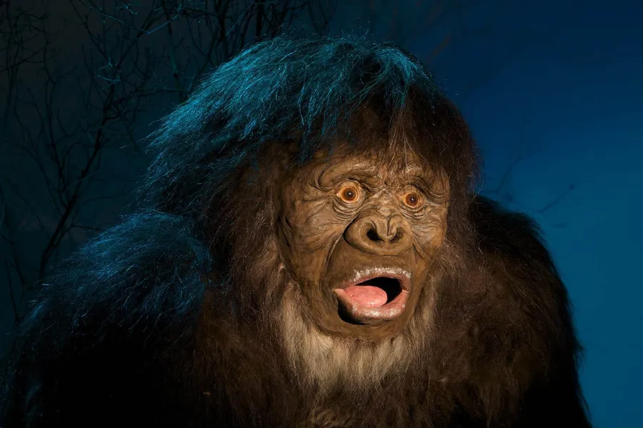 Surprised Monkey Meme