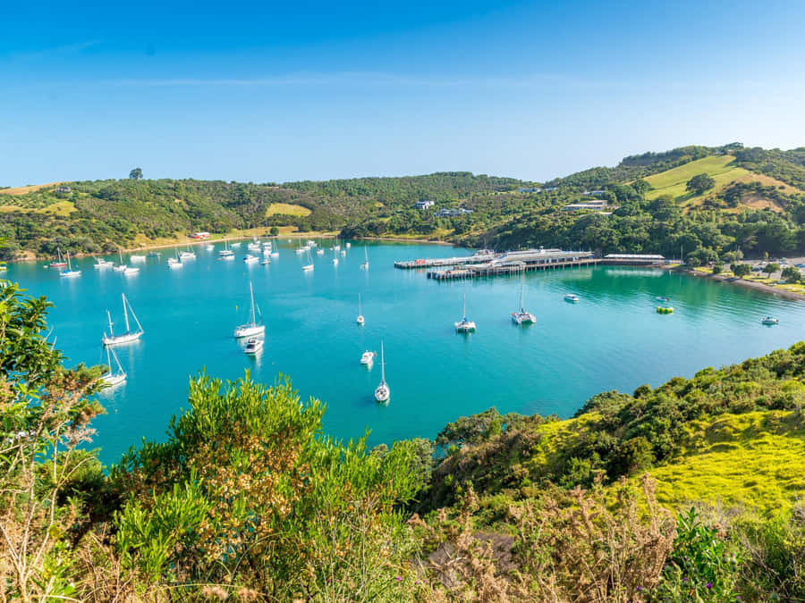 Waiheke Island Marina Nya Zeeland