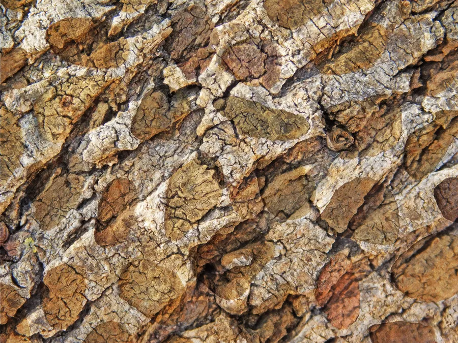 stone,black,texture,dark,design,rock,blank,background,closeup,natural,luxury,empty,wall,granite,material,abstract,nature,wallpaper,hard,gray