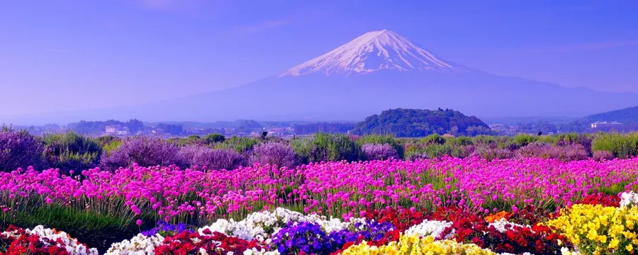 Spring Dual Screen