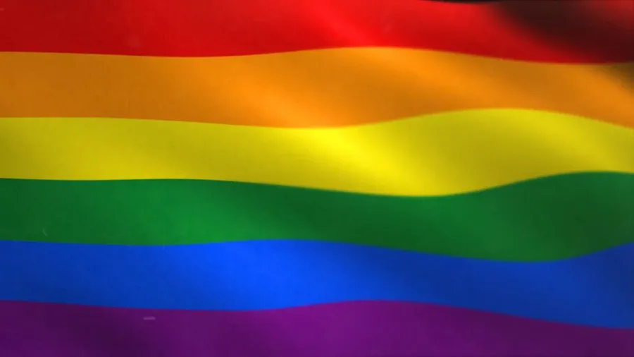 Lgbt Flag