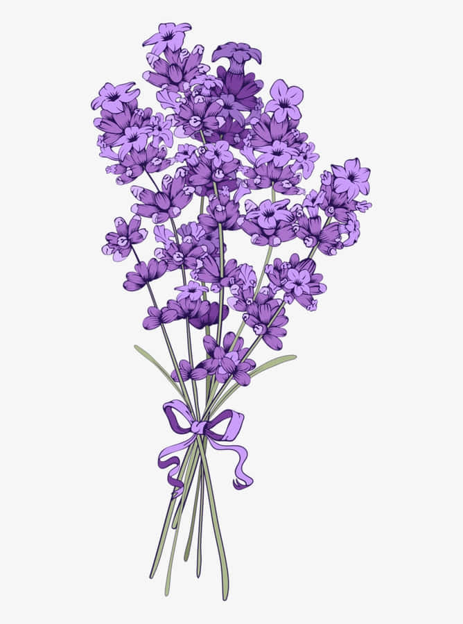 Blumenhintergrund