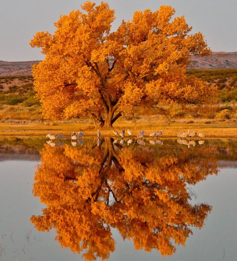 Fall pictures