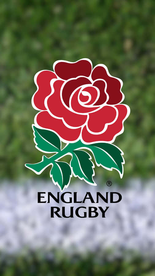 EngelskRugby