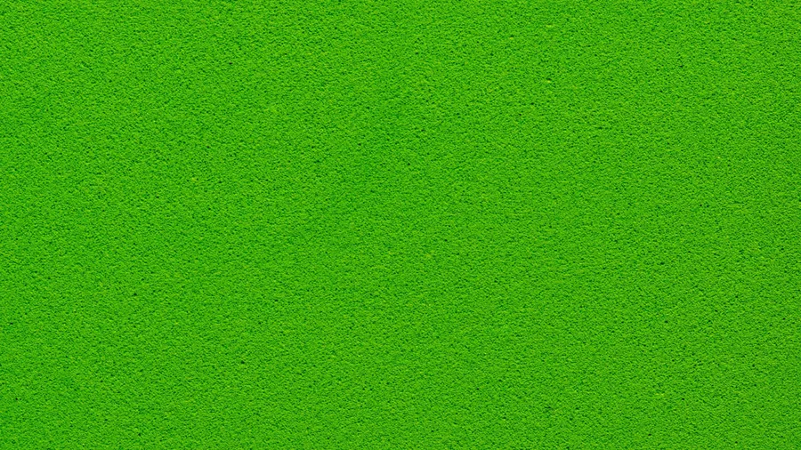 Solid Green Background