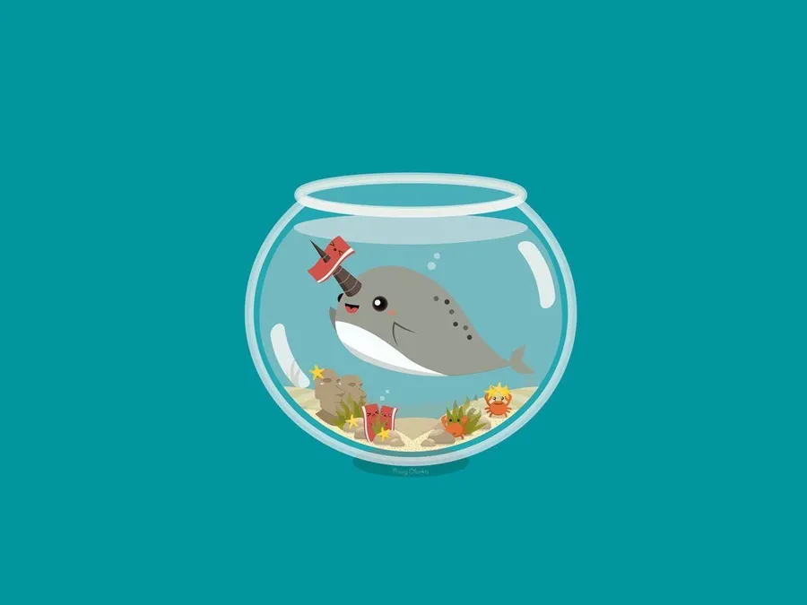 Narwhal background