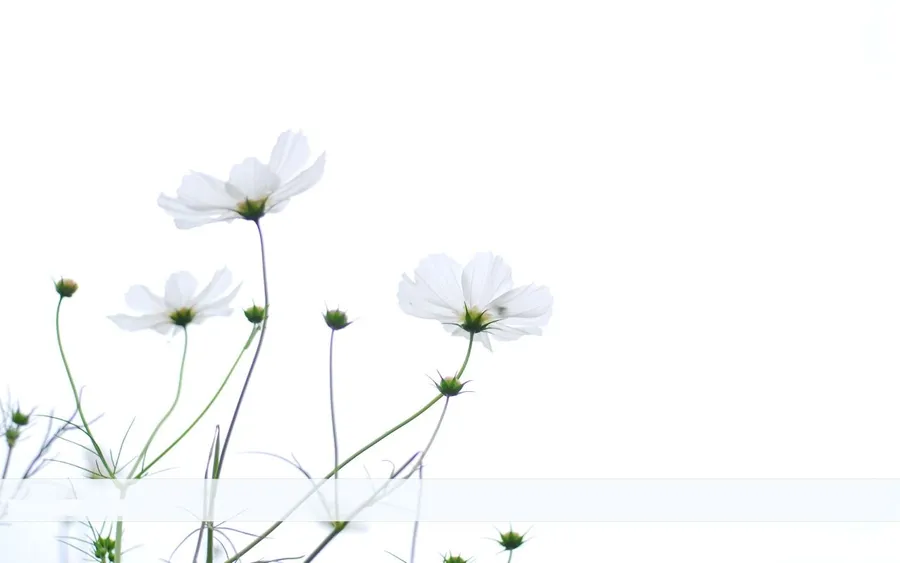 Floral Computer