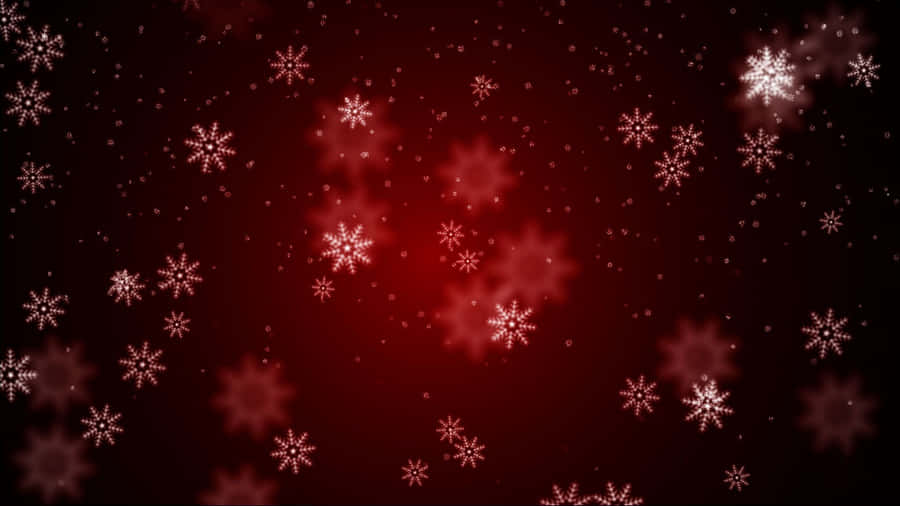 Mørkjule 1920 x 1080 tapet