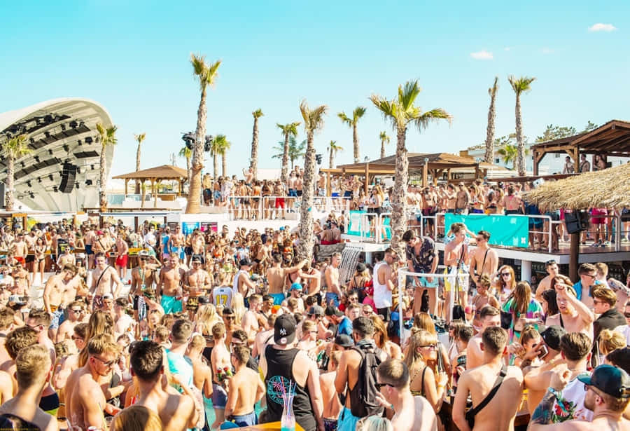 Strandfest2350 x 1605 tapet