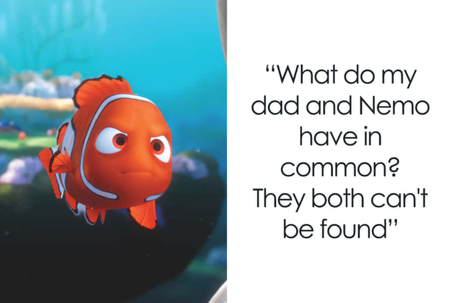 citaçõesdo filme Procurando Nemo