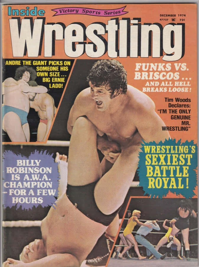 American Professional Ernie Ladd