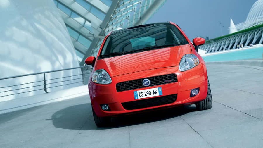 Elegantee di stile, Fiat Punto sulla strada.