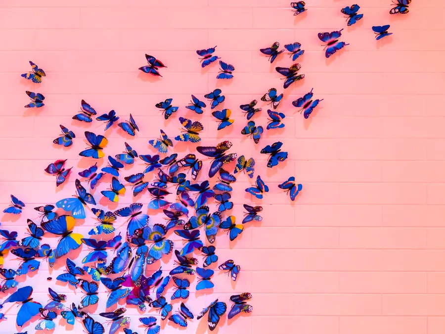 Butterflies background
