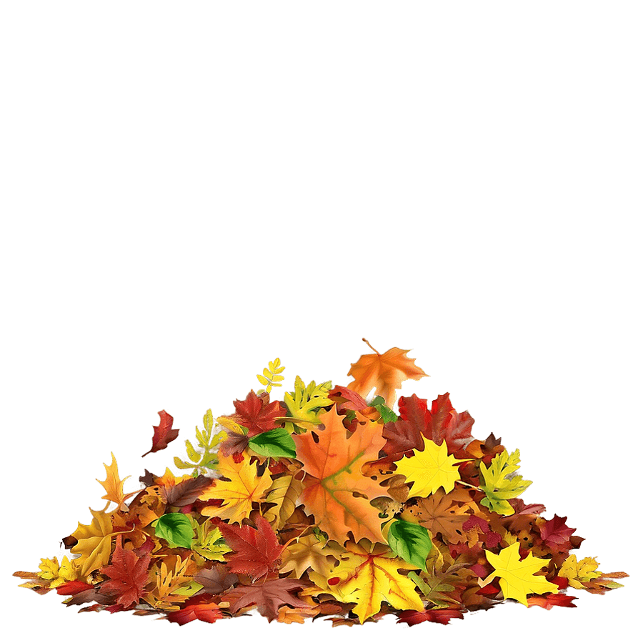 Mixed Fallen Leaves Heap PNG 06292024