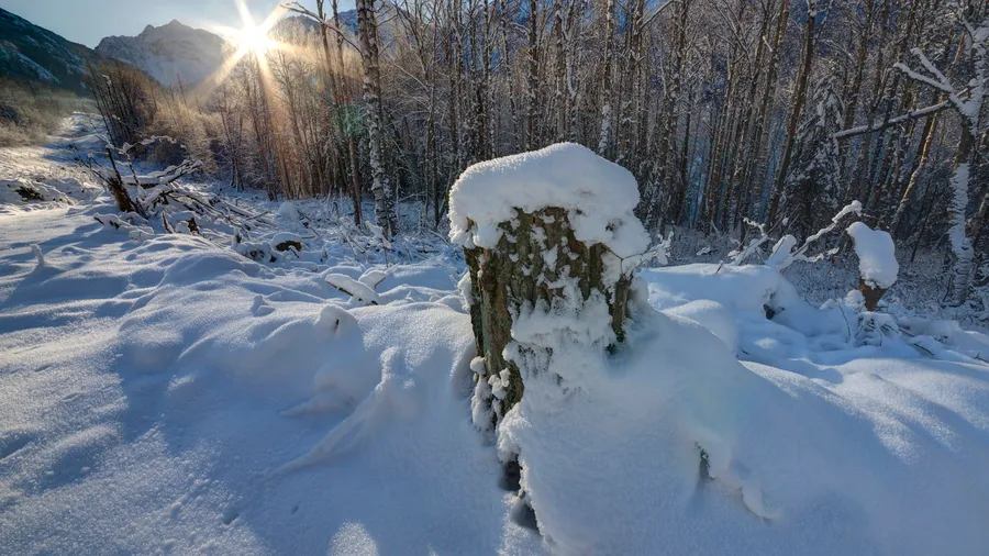 Winter Hd Desktop
