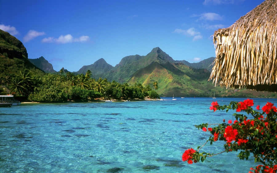 BahamasStrand 1920 x 1200 Hintergrundbild