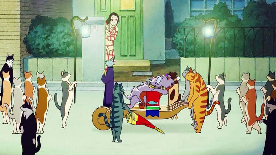kattenåtervänder 1280 x 720 bakgrundsbild