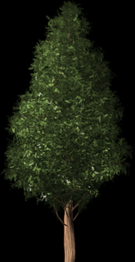 Lush Green Treeon Black Background.jpg